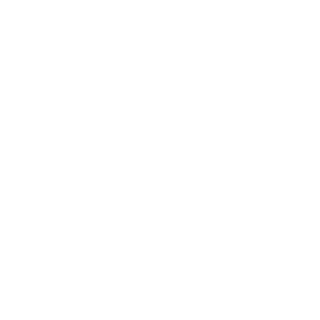 Proyecto 1